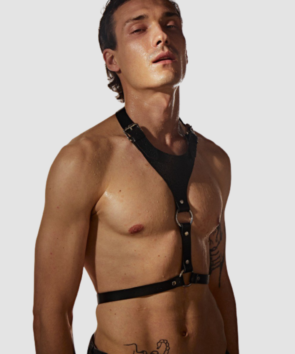 Den Harness