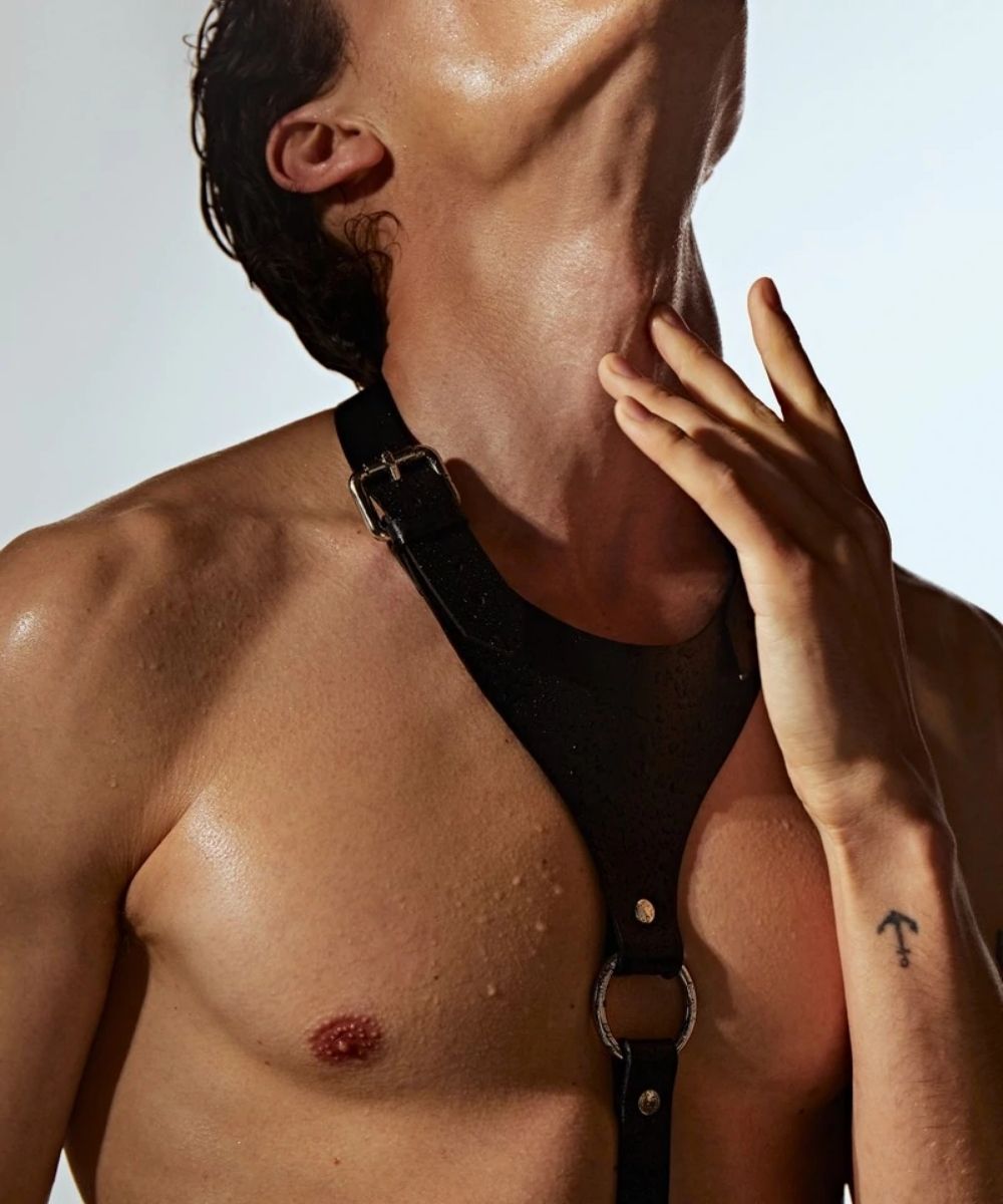 Den Harness